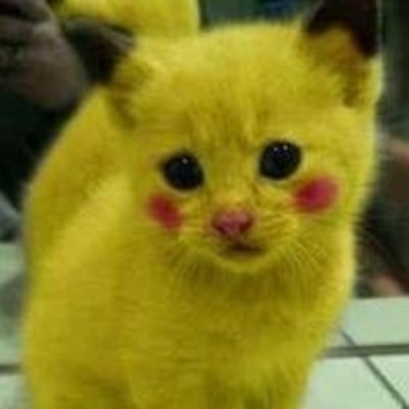 kmocats